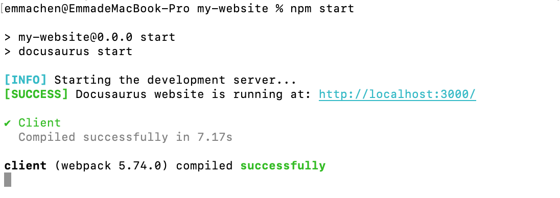 npm start